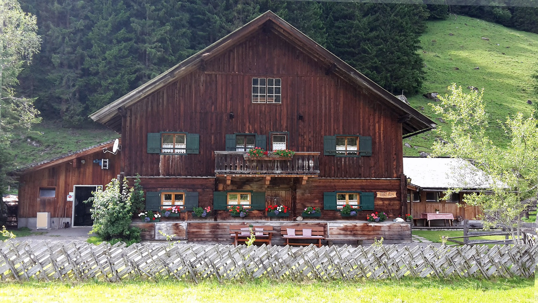 schöne Blumen im Sommer auf unserer Alm