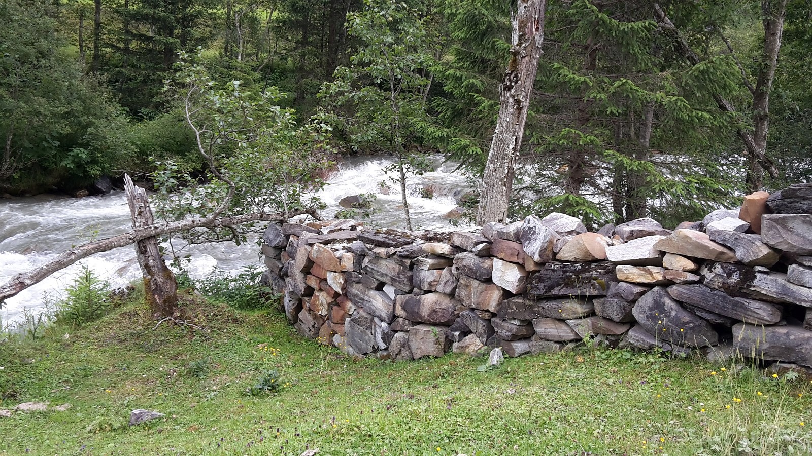 unsere wunderschöne Alm im Käfertal