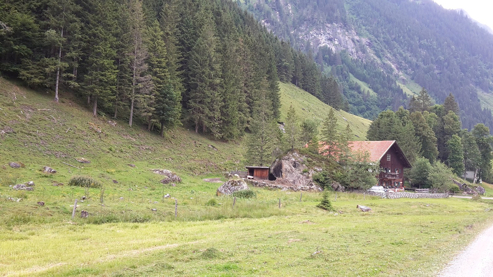 unsere wunderschöne Alm im Käfertal